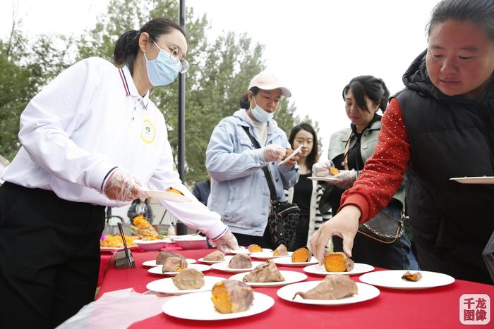 薯香满田园 北京平谷夏各庄第六届红薯文化节开幕