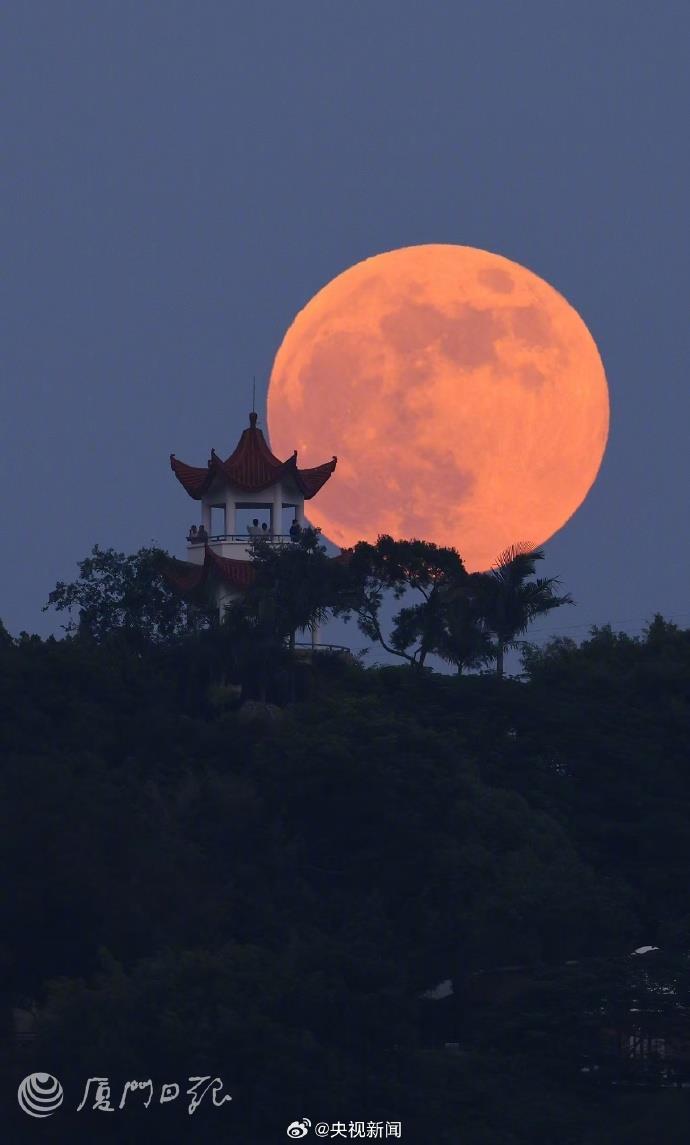 今年最大超级月亮登场 🌝你和谁一起赏月？