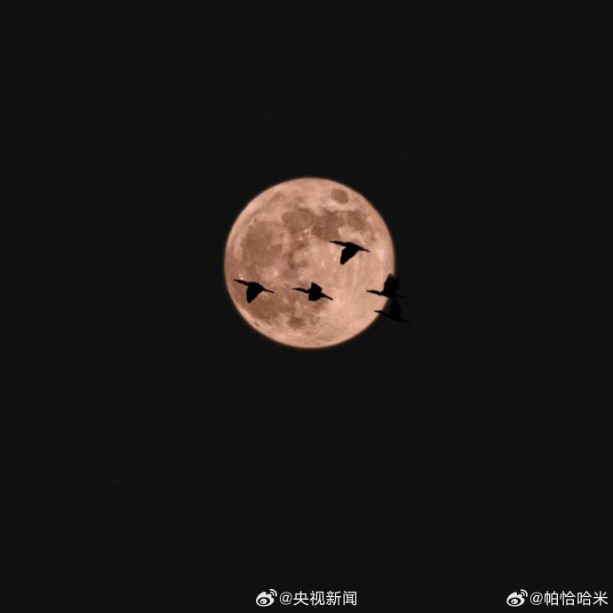 今年最大超级月亮登场 🌝你和谁一起赏月？