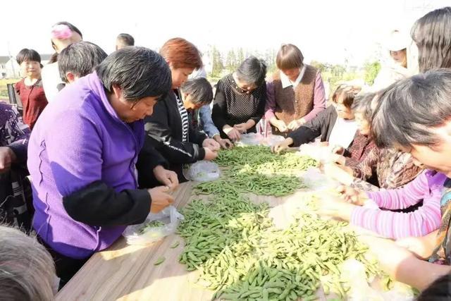 明天，叶榭镇这场“村晚”不容错过→