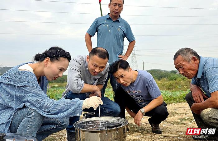 红视频丨湘潭市开展“莲虾综合种养”试验 助农增收