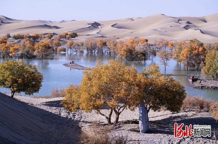 金秋醉胡杨  相约葫芦岛！第二师铁门关市第七届胡杨艺术摄影节开幕