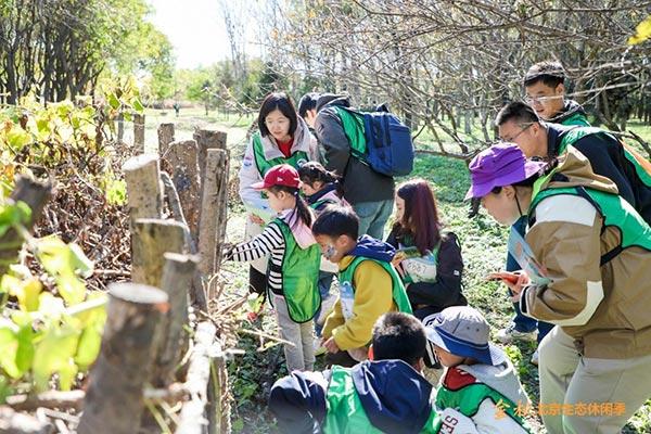 “金秋北京生态休闲季”活动启动，林场成为市民生态休闲新选择