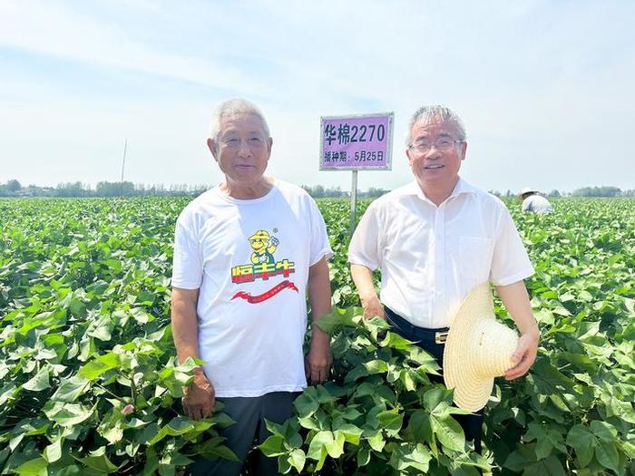 开拓长江流域“机采棉”