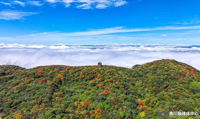 重庆金佛山秋日美景上线