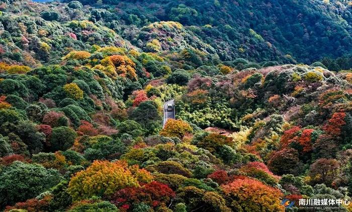 重庆金佛山秋日美景上线