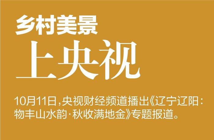 奋力争先进位 确保攻坚必胜