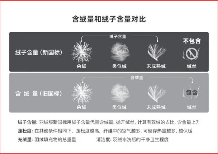 科普小知识 | 如何选购一件合适的羽绒服装过一个“暖冬”