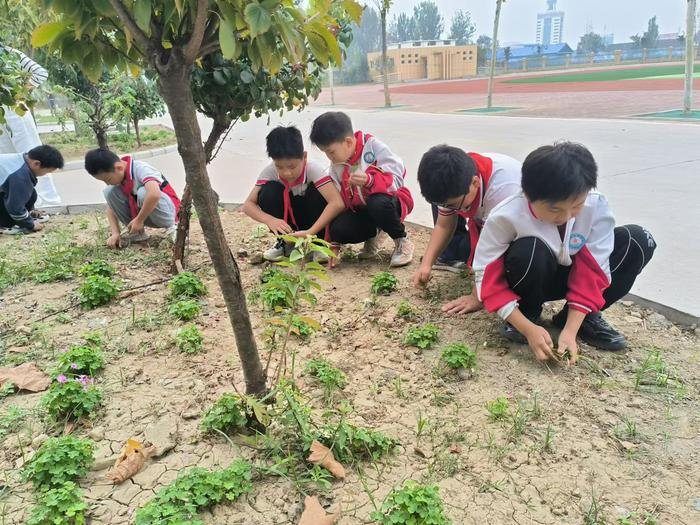 新野县汉兴学校：劳动教育周，实践出真知