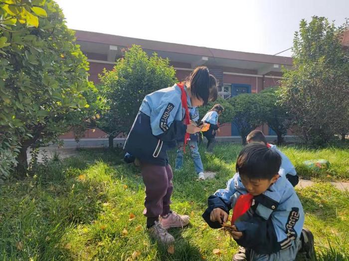 灞桥区东李小学开展学生树叶贴画活动