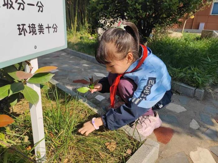 灞桥区东李小学开展学生树叶贴画活动