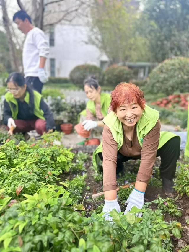 秋日焕新！快看奉浦街道睦邻花园的“绿色魔法”！