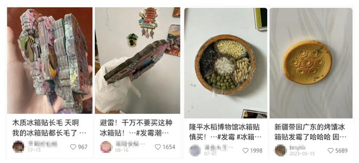 “天天6点起床狂跑去排队买”，打工人的出租屋冰箱快配不上这个文创界玲娜贝儿