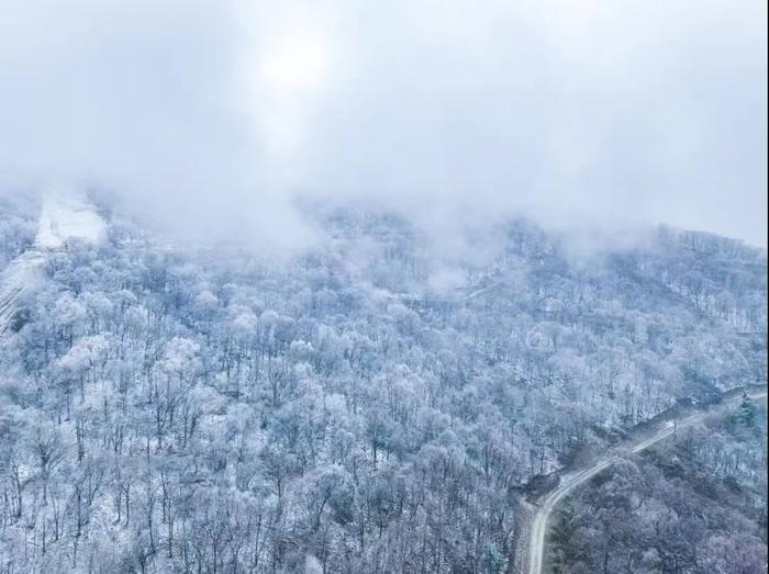 snow walk in 吉林~共赴这场初雪之约