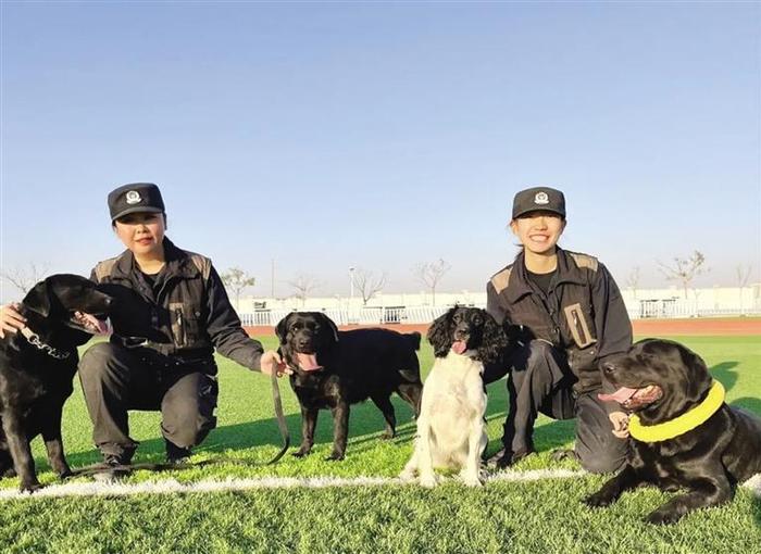 警犬基地的“姐妹警花”训导员