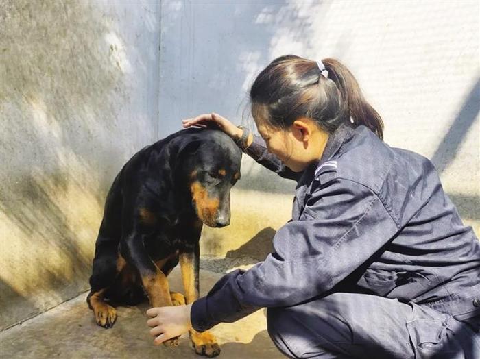 警犬基地的“姐妹警花”训导员