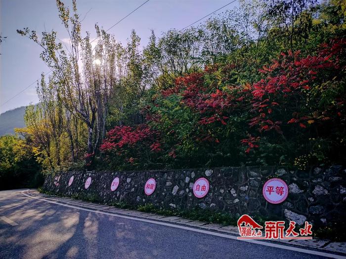 天水：秋意浓 来南山景区邂逅秋日美景