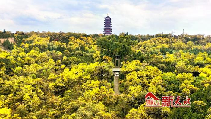 天水：秋意浓 来南山景区邂逅秋日美景