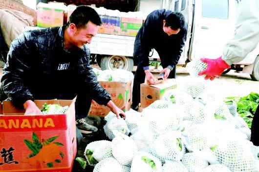 金秋十月，天水武山县山丹镇车岸村规划种植