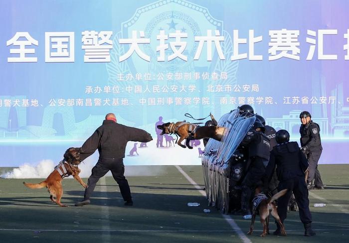 10月22日,北京市公安局在进行汇报演练。新华社记者 殷刚 摄
