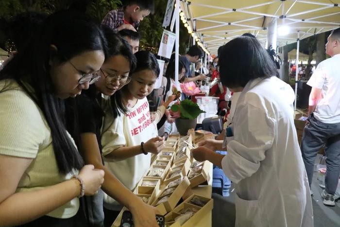 名医来问诊，养生又好玩！湛江首届中医药文化夜市来了