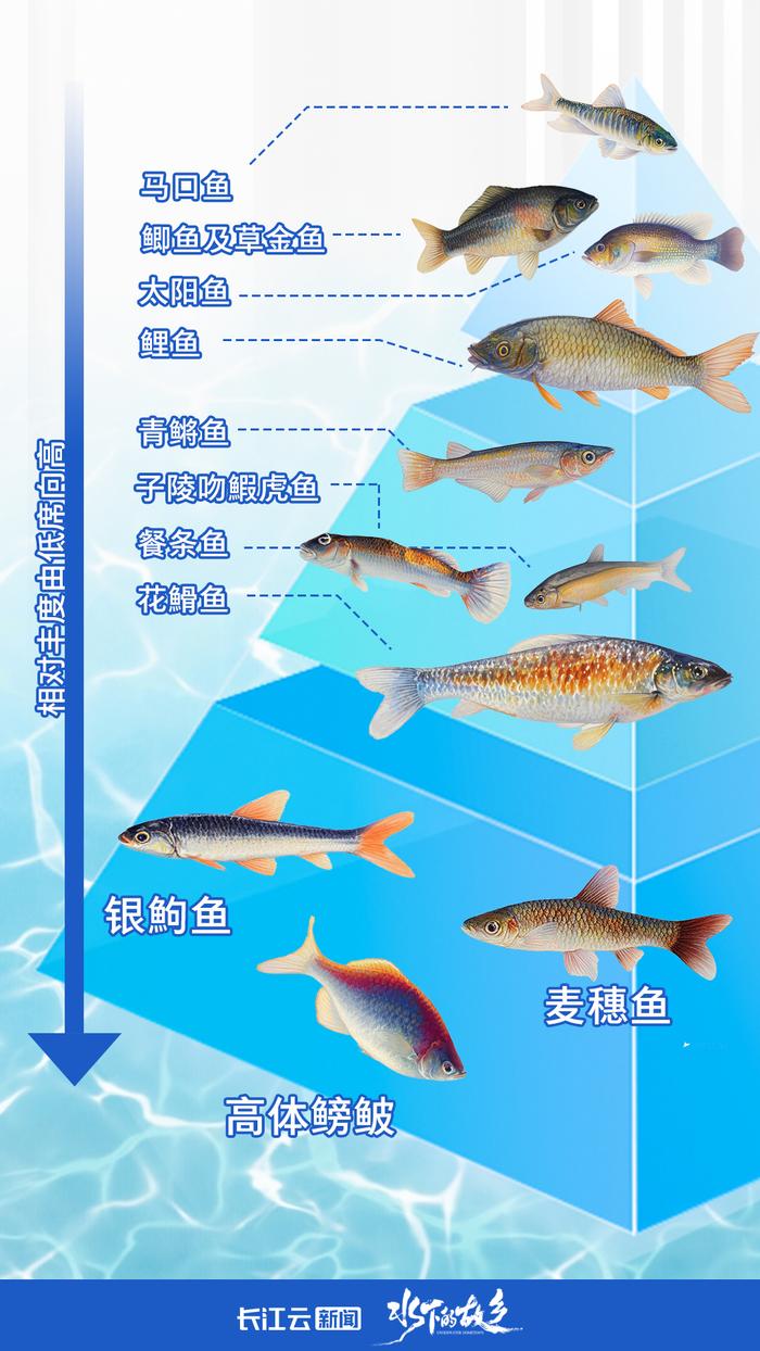 冻不住，会“开锅”，鱼挺多……这条大河不简单