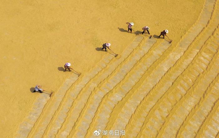 韵味！ 湖南的“晒秋”100%出片