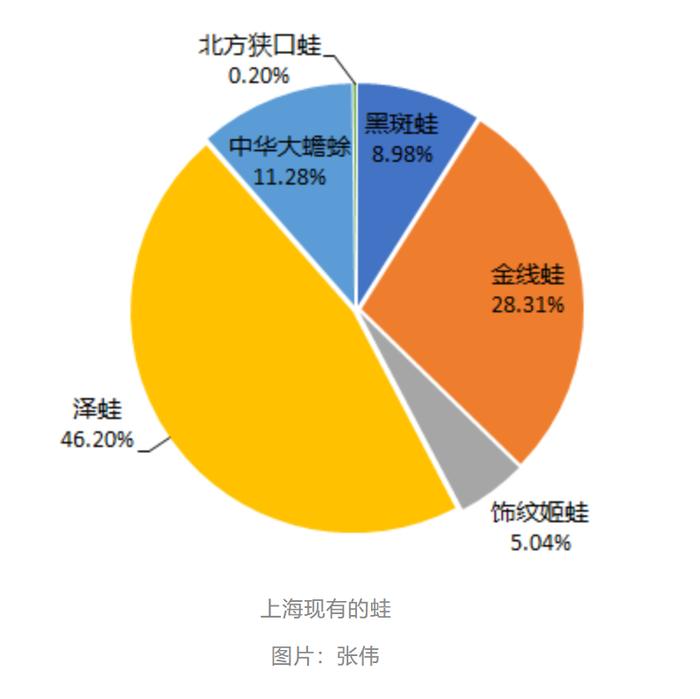 已涌入300个小区，上海城区野生动物越来越多！官方提示：晚于21时30分，这件事别做→