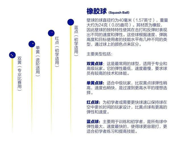 壁球盛宴来袭！2024中国壁球公开赛快速入门攻略请查收