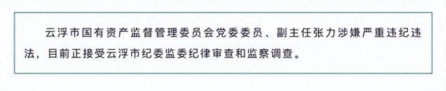 广东云浮市国有资产监督管理委员会党委委员、副主任张力被查