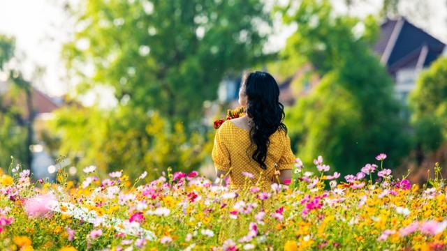 波斯菊、硫华菊、百日菊……上海近郊23000平方米的缤纷花海免费打卡！