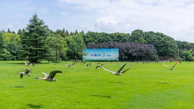 秋日“沪”水游丨崇明：西沙明珠 风光无限