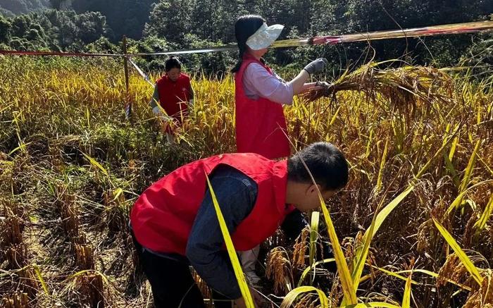 宁德：新时代文明实践活动接地气、暖人心