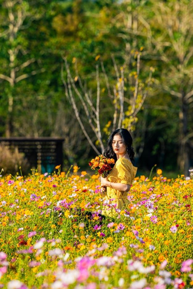 波斯菊、硫华菊、百日菊……上海近郊23000平方米的缤纷花海免费打卡！