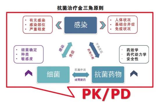 原研地产（力复乐金城金素持证）与原研进口（西力欣GSK持证、ACS Dobfar生产）注射用头孢呋辛钠PK/PD再评价研究