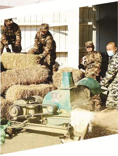 新疆生产建设兵团成立70年来，一代代兵团人屯垦戍边、接续奋斗——天山南北飞扬幸福的歌