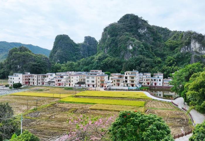 黄墙黛瓦！春湾镇山角村财迳自然村“变身”桃花源