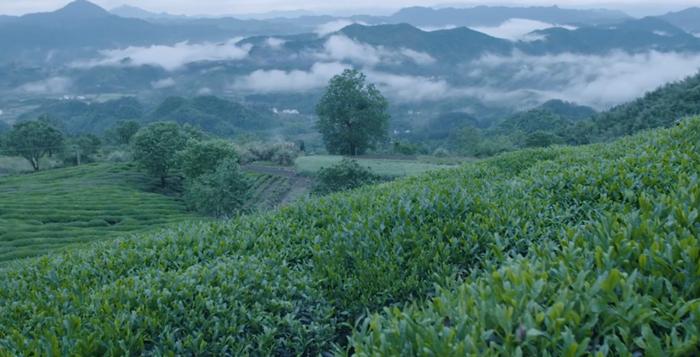 双地标闪耀黟县