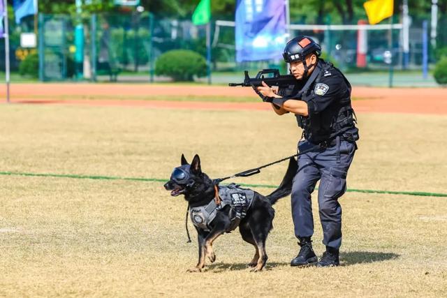 警犬追捕、消防灭火、现场急救……监狱突发事件如何处置，一组高清图告诉你！