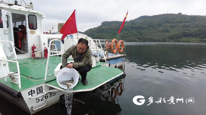 思南县白鹭湖国家湿地公园生态持续向好 国家二级保护鱼类现身