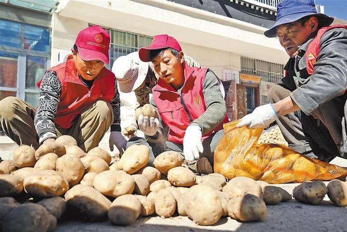 驻江嘎村工作队：助力土豆销售增加群众收入