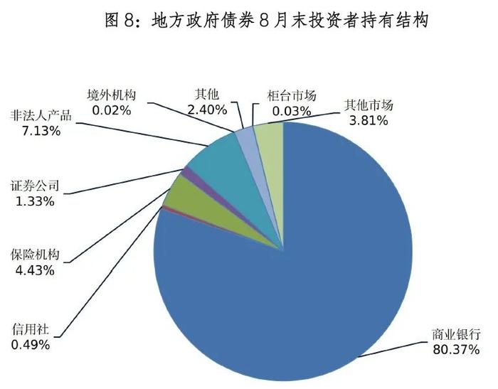 地方政府债券市场报告（2024年8月）