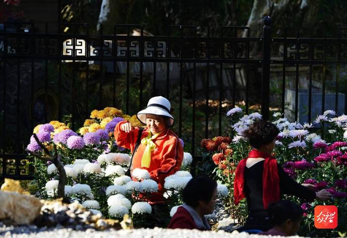 走，到省植物园赏菊去