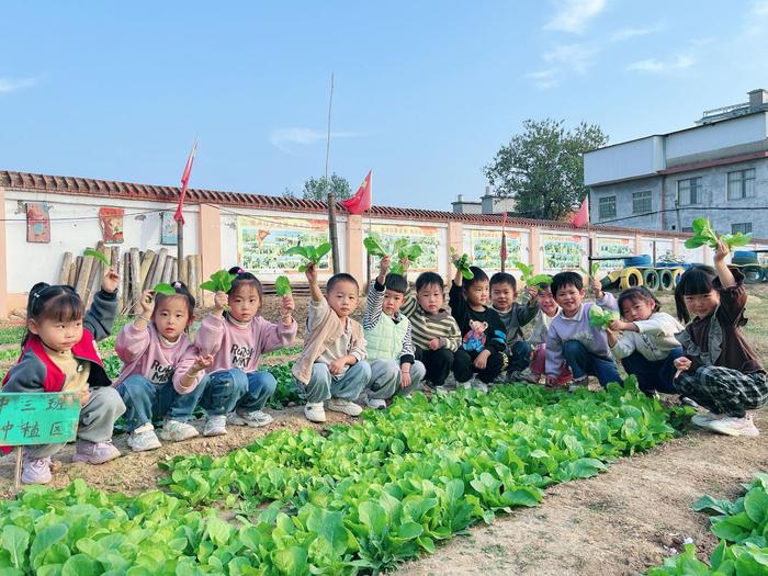 播种希望，收获成长——方城县赵河镇中心幼儿园的一米菜园