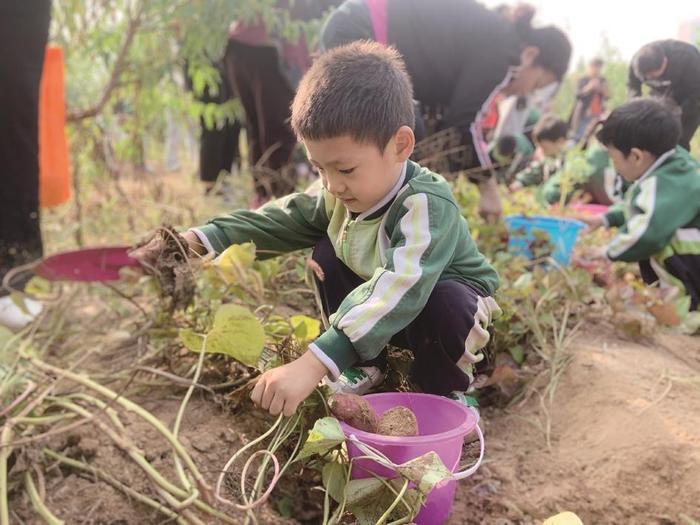 复兴区第一幼儿园开展劳动实践活动