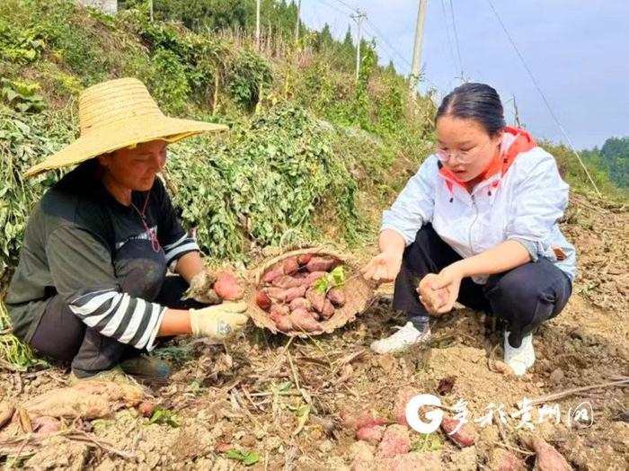 【“老典型”新风采】湄潭杜富佳：抗疫一线当勇士，乡村振兴新征程