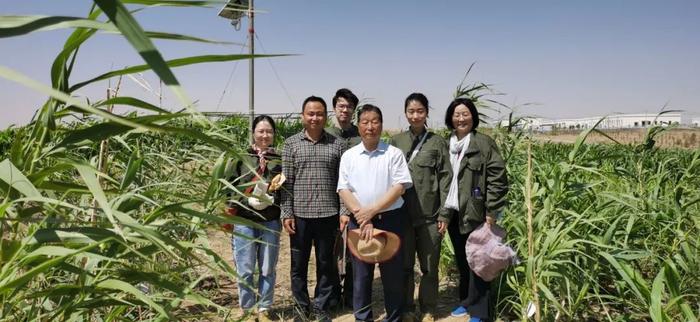 了不起！福建农林大学这位教授，送给世界一株“幸福草”