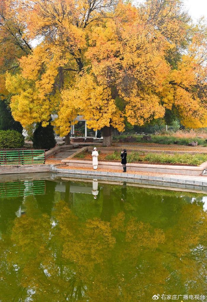 石家庄市植物园：秋色满园惹人醉