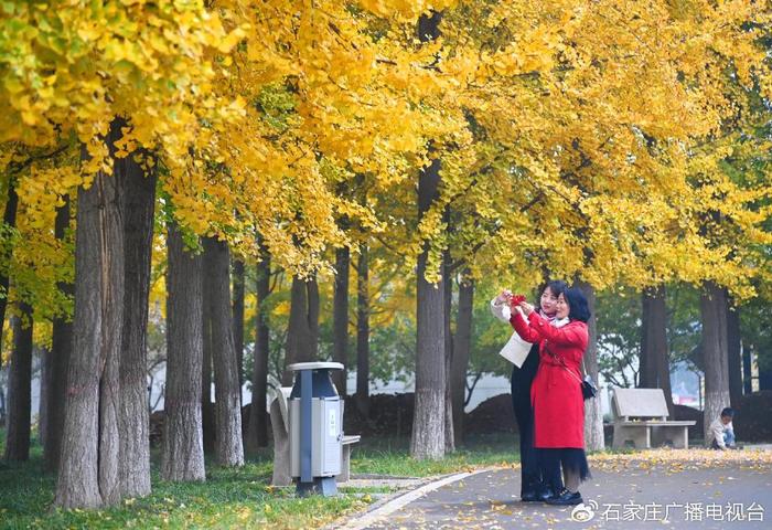 石家庄市植物园：秋色满园惹人醉