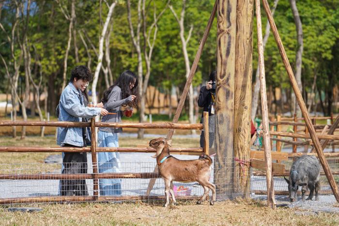 水豚、黑鼻羊、小兔子……清远遛娃新坐标，12月开启！